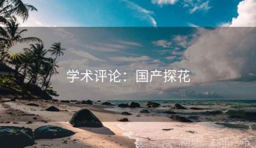 学术评论：国产探花