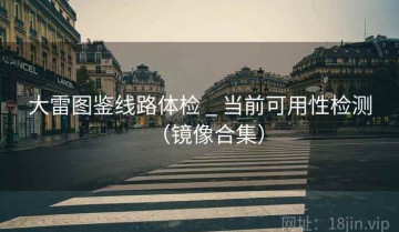 大雷图鉴线路体检 _ 当前可用性检测（镜像合集）