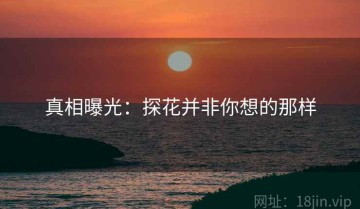 真相曝光：探花并非你想的那样