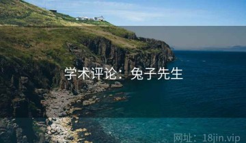 学术评论：兔子先生