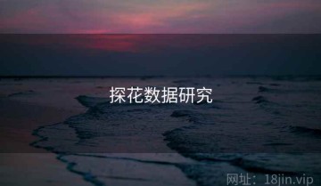 探花数据研究