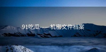 91吃瓜——机密文件档案