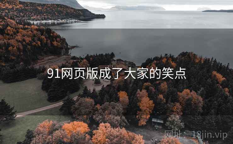 91网页版成了大家的笑点
