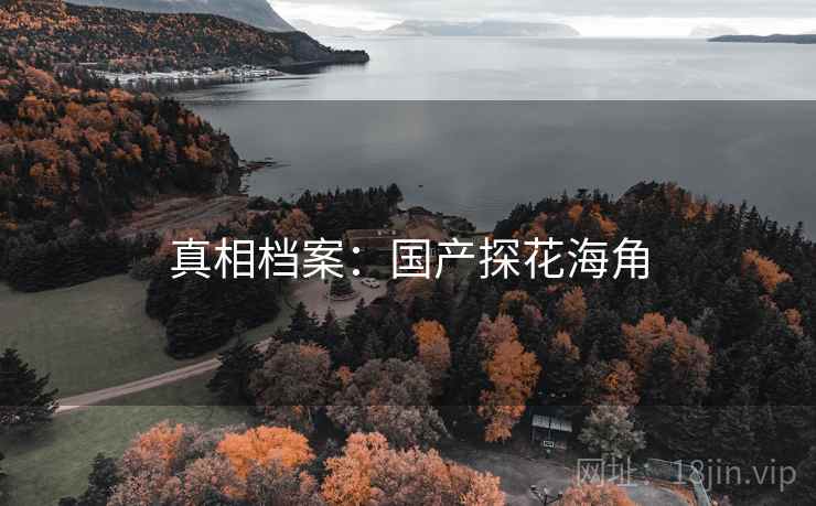 真相档案：国产探花海角