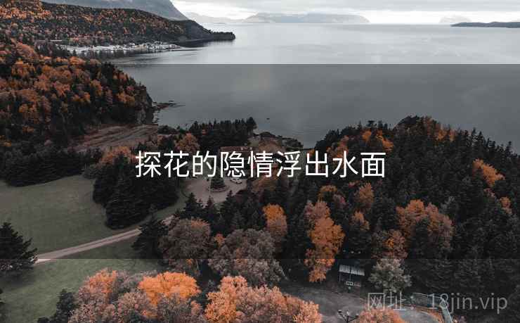 探花的隐情浮出水面